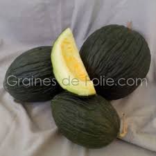 Graines De Melon Vert Olive D Hiver Sur Grainesdefolie Com