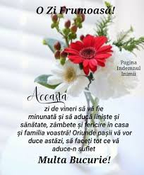 Pin By Ioana Oancea On Ganduri In 2020 Good Morning Herbs