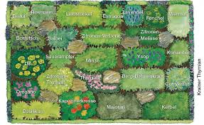 Krauterbeet Anlegen Mein Schoner Garten Mehr Herb Garden Design Container Gardening Vegetables Planting Plan