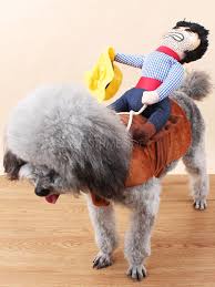 Good for picture taking and to show off to your friends and family, it will be a perfect gift for any pet owners. Dog Costume Horse Riding Cowboy Cat Clothes Halloween Pet Costume Costumeslive Com