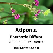 Image result for Boerhavia diffusa