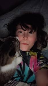 Adopting a 6-month-old Tabby Cat