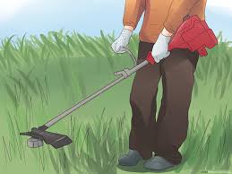 Fortify soil with compost or manure to balance. How To Xeriscape 15 Steps With Pictures Wikihow