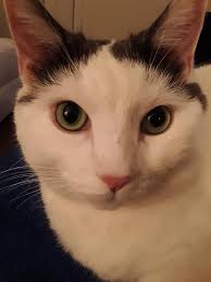 Well? 2pm came and went. Cue the crickets 🤷‍♀️