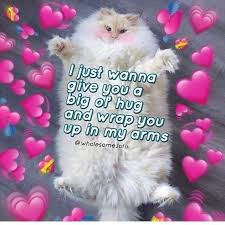 Uwu Meme Reaction Cat Uwu Meme Reaction In 2020 Cute Cat Memes Cute Memes Love You Meme