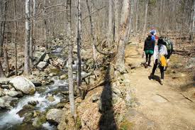 Check spelling or type a new query. Whiteoak Canyon Cedar Run Trail Loop Shenandoah National Park Va Live And Let Hike