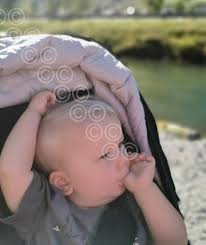 Colleen Wisdom/Lisa Veal