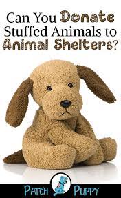 Things To Donate To Animal Shelters The Dos And The Most Definitely Don Ts Patchpuppy Com Animal Shelter Donations Animal Shelter Shelter Dogs