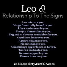 Pin On Leo