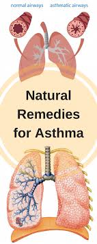 Asthma Is A Lung Disease That Causes Difficulty Breathing Asthma Can Be Either Acute Or Chronic Asthma Attack Natural Asthma Remedies Asthma Natural Remedies