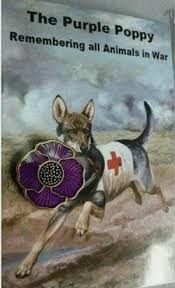 Animals Memes And Purple The Purple Poppy War Remembering All Animals In Purple Poppies Remembrance Day Pictures Remembrance Day