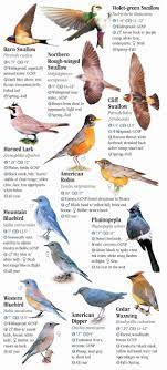 Birds Of Northern Arizona Including Flagstaff Sedona And Grand Canyon National Park Quick Reference Publishing