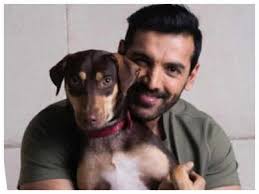 Watch: John Abraham warming up with his dogs before workout will brighten  up your morning