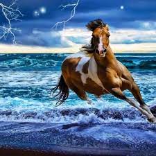 Portadas Para Tu Facebook Imagenes Para Usar De Fondo En Tu Movil Pc O Red Social Horses Running On The Beach Horse Wallpaper