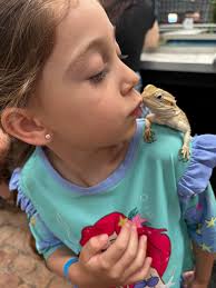 Where to buy 12-14 gauge pvc coated welded wire fencing