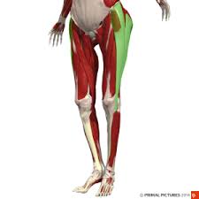 Image result for Snapping Hip