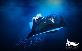 Streamlined Stingray Submarines Submersible Submarines Water Crafts