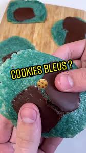 Image result for Bleu 1988 ARO