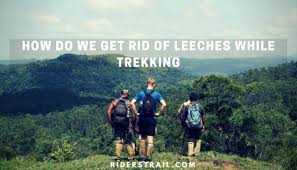 How do leeches get into the ponds? Leech Socks How Do We Get Rid Of Leeches While Trekking In 2021 Riders Trail