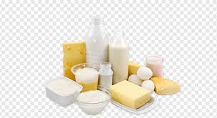 Often, it's favored by people you love working out, and the brand was a clear frontrunner in the protein powder market. What Sort Of Dairy Product Is Halloumi Trivia Questions Quizzclub