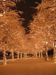 The Broadmoor Christmas Lights Everywhere Christmas Lights Colorado Christmas Warm Christmas