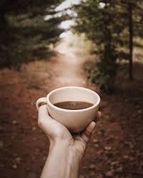 Nature And Coffee Best Combination 3 Camping Usa Earth Trekking Forest Hikingtrails Adventure Mou Brown Aesthetic Coffee Pictures Brown Coffee