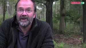 Cooking with Wild Mushrooms from the Woodlands