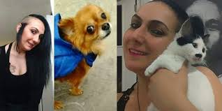 Istanbul Da 3 Kedi 1 Kopek Evinde Olen Sahibinin Cesedini Yedi Internet Haber