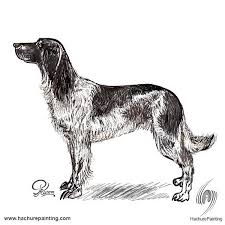 Drawing From The Side View Tutorial Dog Drawing Jumping Dog Animal Drawings Bernard dog using draw the outline of a dog.