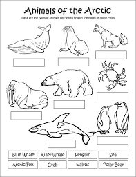 Color 15 adorable baby animals: Printable Arctic Animal Coloring Pages Arctic Animals Printables Artic Animals Polar Animals
