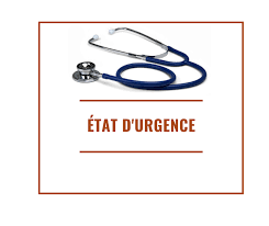 Mélange de deux choses différentes, voire antinomiques : L Etat D Urgence Sanitaire Que Dit La Loi Du 23 Mars 2020