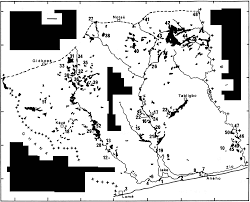 Image result for Hippocratea apocynoides
