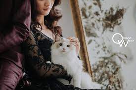 fantasia wedding dress 橘子白 攝影 工作室 板橋 台北 自主婚紗 自助婚紗 阿睿 寶寶 女攝影師 婚紗攝影 婚攝 yuna liu makeup hair 寵物婚紗 廓kworner 桃園忠烈祠 日式建築 布偶貓 貓 wedding photos photo animals