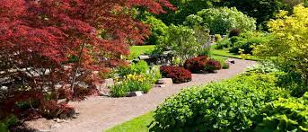 Fill out and submit the form below and, once we receive, we'll contact you to schedule a complete evaluation of your yard. Pest Control And Lawn Care Pestofcontrol Blogspot Com