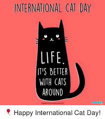 Prescription glasses dispatched in 24hr! International Cat Day Life It S Better With Cats Around Copyright C 2015 Wwwmocormicom Happy International Cat Day Cats Meme On Me Me
