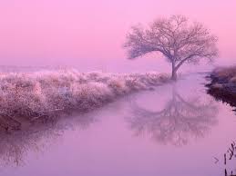 Download these aesthetic background or photos and you can use them for many purposes, such as banner, wallpaper, poster background as well as powerpoint background and website background. Pink Landscape Wallpapers Top Free Pink Landscape Backgrounds Wallpaperaccess