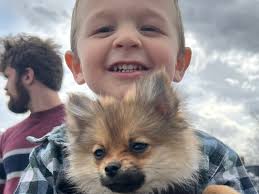 Fundraiser by Lauren Fisher : Mason's Medical