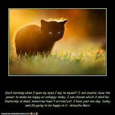 Inspirational Quotes About Cats Motivational Cat Quotes Quotesgram Cat Quotes Quotes Motivation