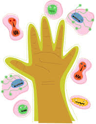 Pass The Purell It S Hip To Be Germ Free Germ Crafts Germs Preschool Hygiene Lessons