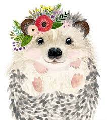 What has a cat which no other animal has? Pin On Animals