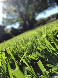 Groundhog sod n sprinkler is an amarillo based sprinkler service company. Amarillo Sprinkler Repair Home Facebook