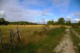 Lorsqu'un chemin rural appartient à plusieurs communes, il est statué sur la vente après enquête unique par délibérations concordantes des. La Gestion Et L Entretien Des Chemins Ruraux