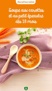 Soupe De Carottes Recette Pour Bebe Des 18 Mois Bledina Recette En 2020 Recette A Base De Legumes Recette Idee Recette Facile