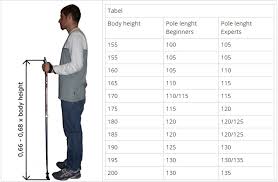 Factual Downhill Ski Pole Size Chart 2019