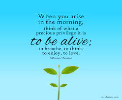 45 Quotes On Attracting Positive Energy