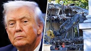 Simone Boyce learns about her past and the story of her great-great-great  grandmother