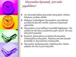 Hayvanlari Koruma Gunu Ppt Video Online Indir