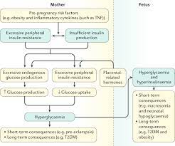 Gestational Diabetes Mellitus Nature Reviews Disease Primers