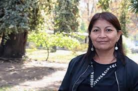 The mapuche are chile's largest indigenous group. Elisa Loncon Academica Fahu La Violencia Mal Entendida Para Seguir Explotando El Wallmapu Universidad De Santiago De Chile