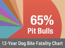 12 Year U S Dog Bite Fatality Chart 2005 To 2015 Fing
